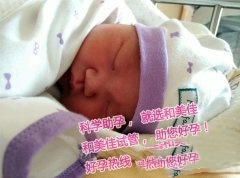 定制性别~女宝诞生记