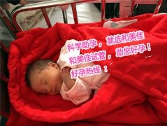 恭喜广州L女士，喜得贵子